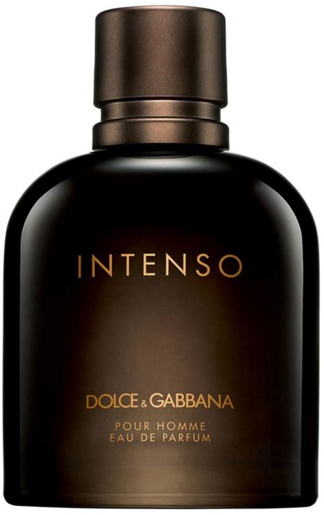 intenso Dolce & Gabbana for men